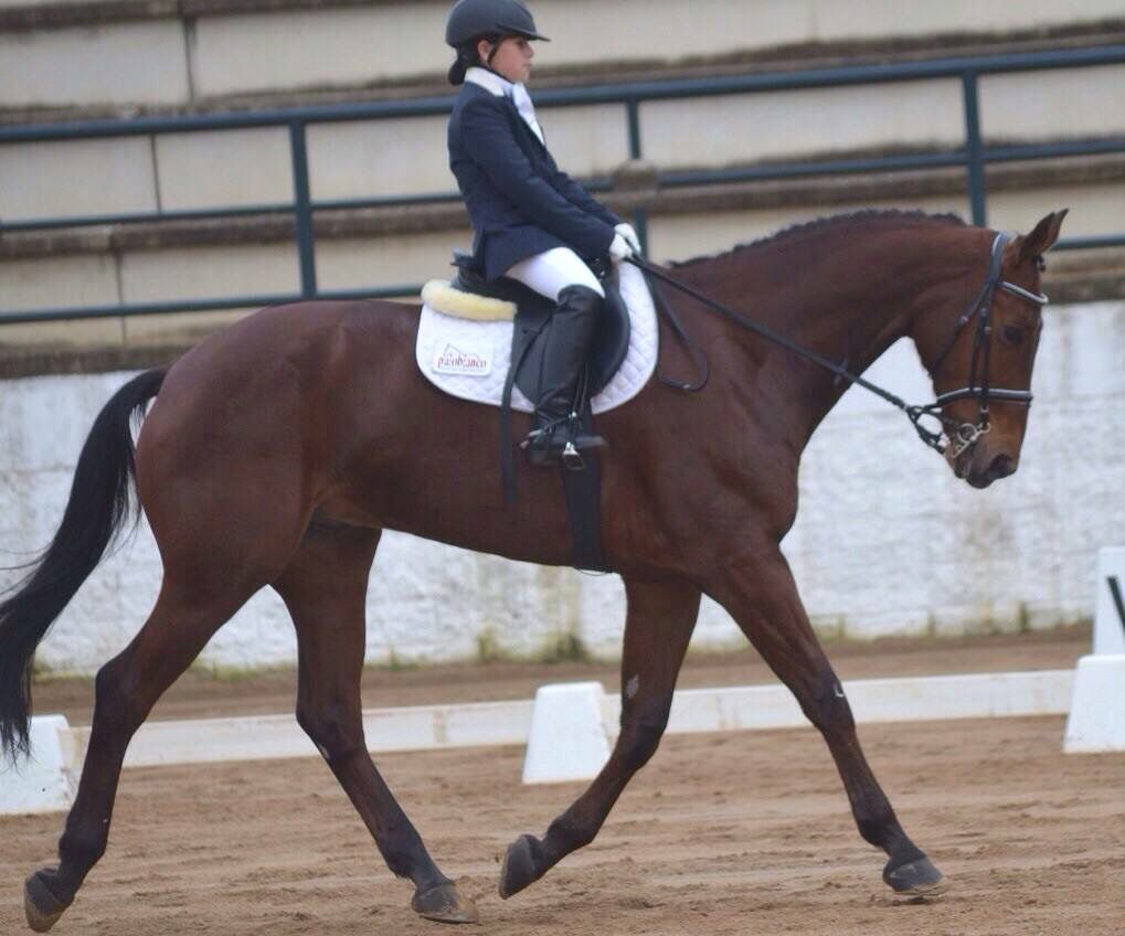 competicion109