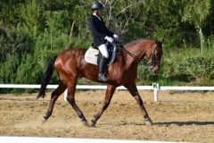 competicion105