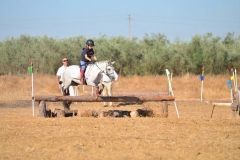 competicion106