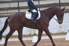 competicion109